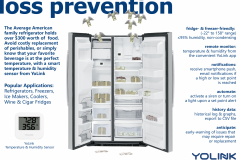 LOSS-PREVENTION-THS-UPDATED-060121a