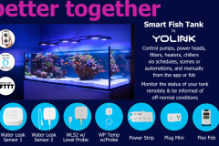 better-together-fish-tank